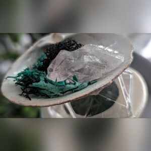 Amethyst & Artificial Moss Seashell